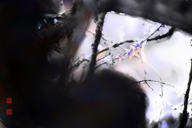 Li Faxue - Subtle-Fragrance-3